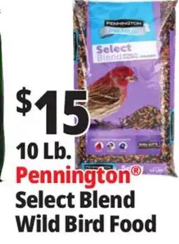 Ocean State Job Lot Pennington Premium Select Blend Bird Seed offer