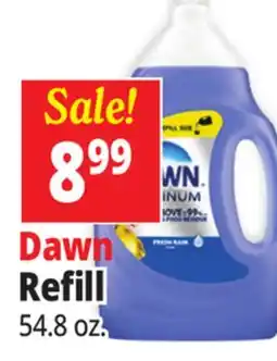 Ocean State Job Lot Dawn Platinum Dish Soap Liquid Refill offer