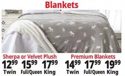 Ocean State Job Lot Blankets offer