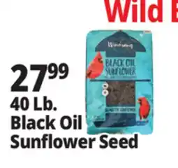Ocean State Job Lot Black Oil Sunflower Seeds 40 lbs offer