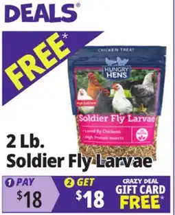 Ocean State Job Lot Hungry Hens Soldier Fly Larvae 2 lbs offer