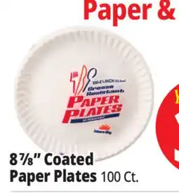 Ocean State Job Lot Leisure Way Paper Plates 100 ct 8.875 offer
