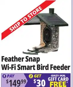 Ocean State Job Lot Feather Snap Seed Feeder offer