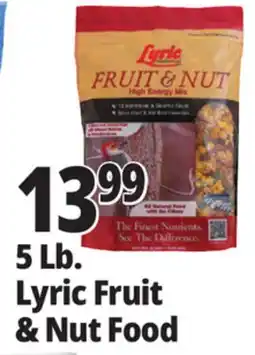 Ocean State Job Lot Lyric Fruit and Nut High Energy Wild Bird Food Mix 5 lbs offer