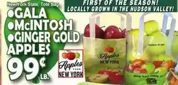 Bravo Supermarkets GALA, MCINTOSH, GINGER GOLD APPLES offer