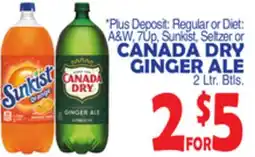 Bravo Supermarkets A&W, 7UP, Sunkist, Seltzer or CANADA DRY GINGER ALE offer