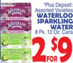 Bravo Supermarkets WATERLOO SPARKLING WATER offer