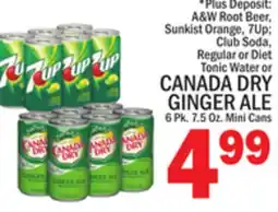 C Town CANADA DRY GINGER ALE offer