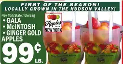 C Town • GALA • McIntosh • Ginger Gold APPLES offer