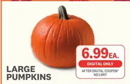 Kings Food Markets LARGE PUMPKINS offer