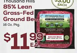 DeCicco & Sons Thousand Hills 85% Lean Grass-Fed Ground Beef offer