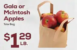 DeCicco & Sons Gala or McIntosh Apples offer
