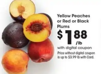 Yellow Peaches or Red or Black Plums