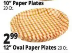 Ocean State Job Lot 10" Paper Plates offer