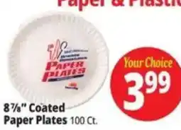 Ocean State Job Lot Paper Plates offer