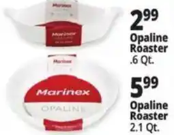 Ocean State Job Lot Marinex opaline roaster offer