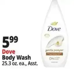 Ocean State Job Lot Dove Body Wash offer