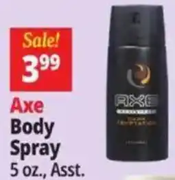 Ocean State Job Lot Axe body spray offer