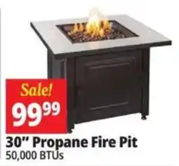 Ocean State Job Lot 30" Propane Fire Pit offer