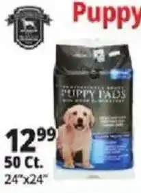 Ocean State Job Lot Puppy Pads offer