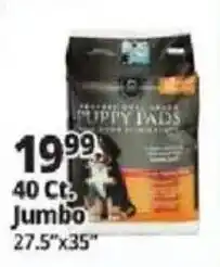 Ocean State Job Lot Puppy Pads offer