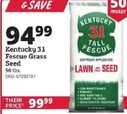 Rural King Kentucky 31 fescue grass seed offer
