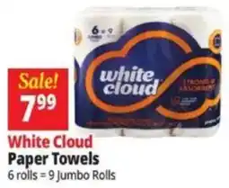 Ocean State Job Lot White Cloud Paper Towels offer