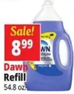Ocean State Job Lot Dawn Refill offer
