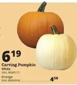 Rural King Carving Pumpkin offer