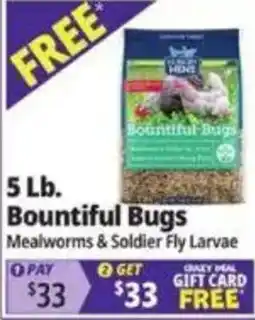 Ocean State Job Lot HBD Bountiful Bugs offer