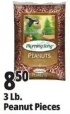 Ocean State Job Lot Morning Song peanuts offer