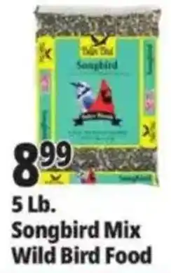 Ocean State Job Lot Dakin Songbird Songbird Mix Wild Bird Food offer