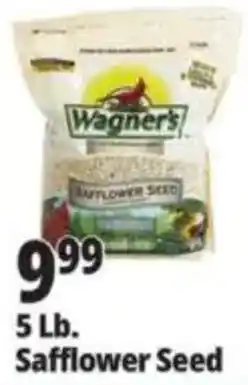 Ocean State Job Lot Wagner's Safflower Seed offer