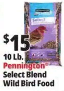 Ocean State Job Lot Pennington Select Blend Wild Bird Food offer