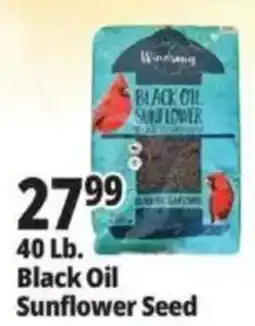 Ocean State Job Lot Windsong Black Oil Sunflower Seed offer