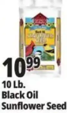 Ocean State Job Lot Black Oil Sunflower Seed offer