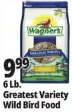 Ocean State Job Lot Wagner's greatest variety wild bird food offer