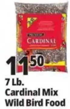 Ocean State Job Lot Cardinal Cardinal Mix Wild Bird Food offer