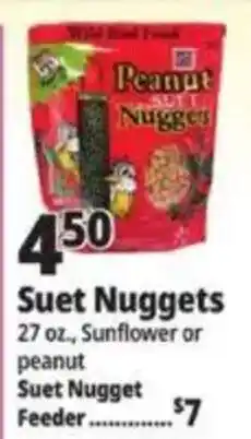 Ocean State Job Lot Peanut Suet Nuggets offer