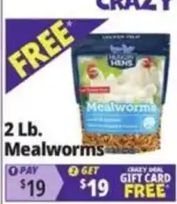 Ocean State Job Lot Black Hens Mealworms offer