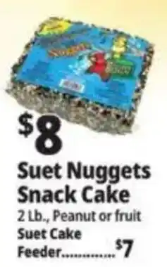 Ocean State Job Lot Suet Nuggets Snack Cake offer