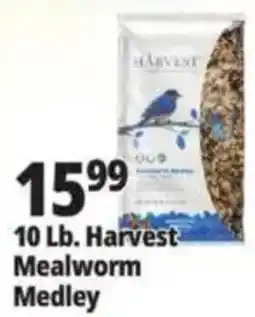 Ocean State Job Lot Harvest Mealworm Medley offer