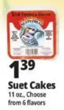 Ocean State Job Lot Suet Cakes offer
