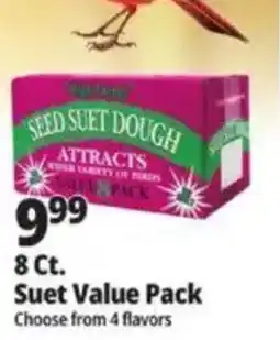 Ocean State Job Lot Seed Suet Dough offer