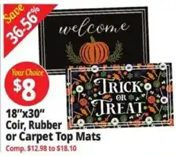 Ocean State Job Lot Your Choice Coir, Rubber or Carpet Top Mats offer