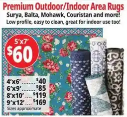 Ocean State Job Lot Premium Outdoor/Indoor Area Rugs offer