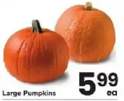 ACME Large Pumpkins offer