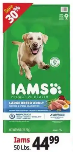 Ocean State Job Lot Iams proactive health large breed adult chicken & whole grain recipe offer