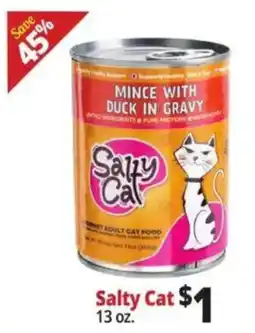 Ocean State Job Lot Salty Cat Mince with Duck in Gravy offer
