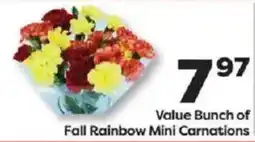 Weis Markets Value Bunch of Fall Rainbow Mini Carnations offer